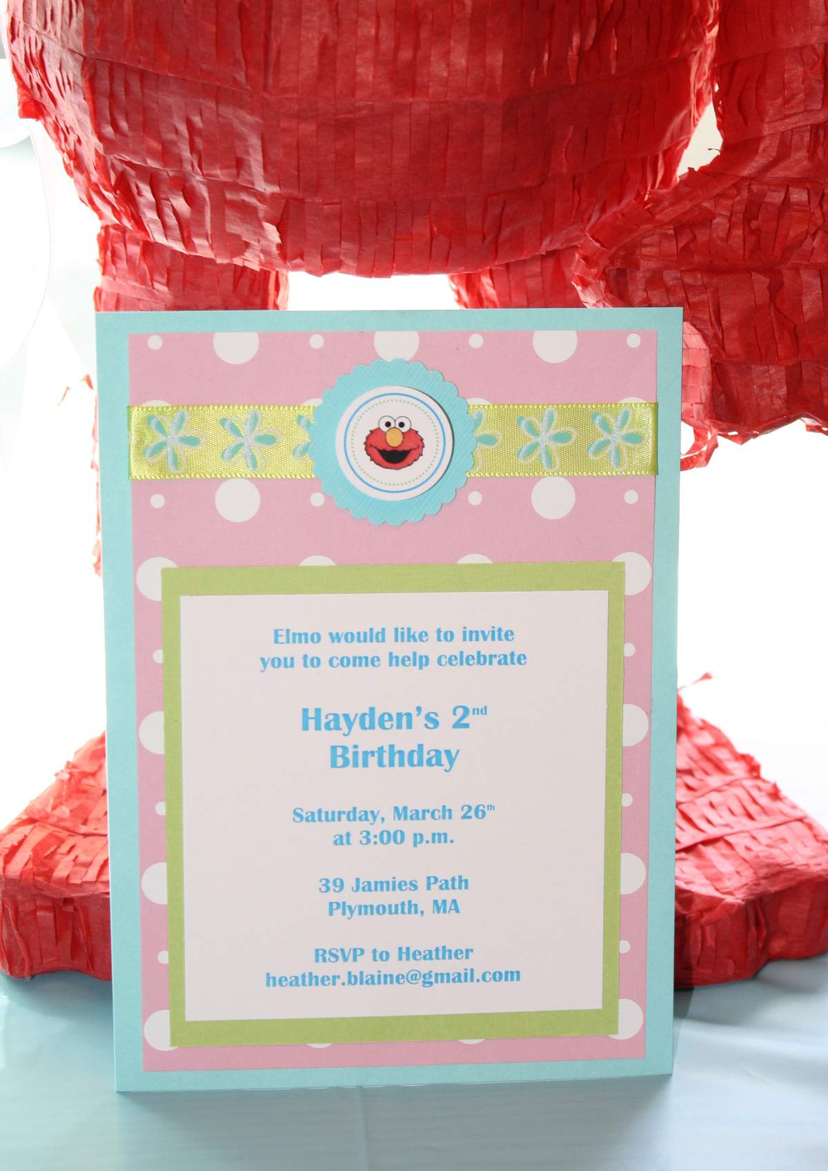Hayden's 2nd Birthday  - Elmo