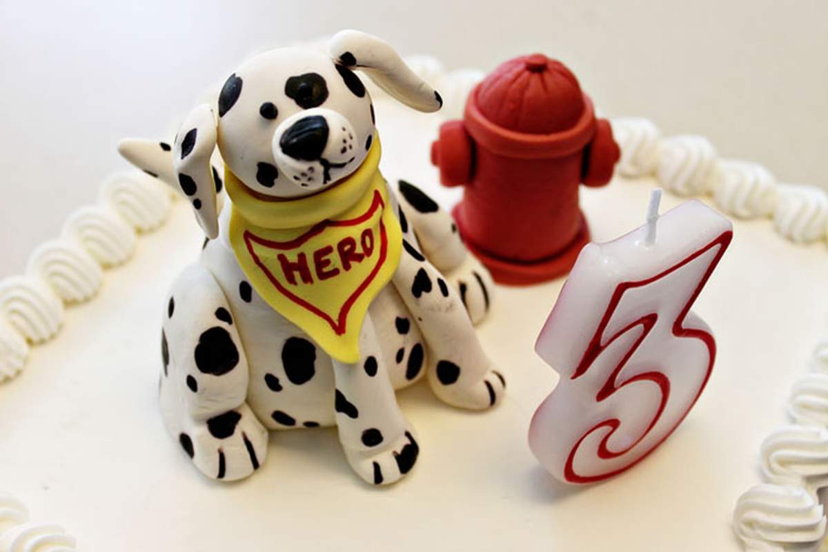 DC's Firetruck Party - Firetruck