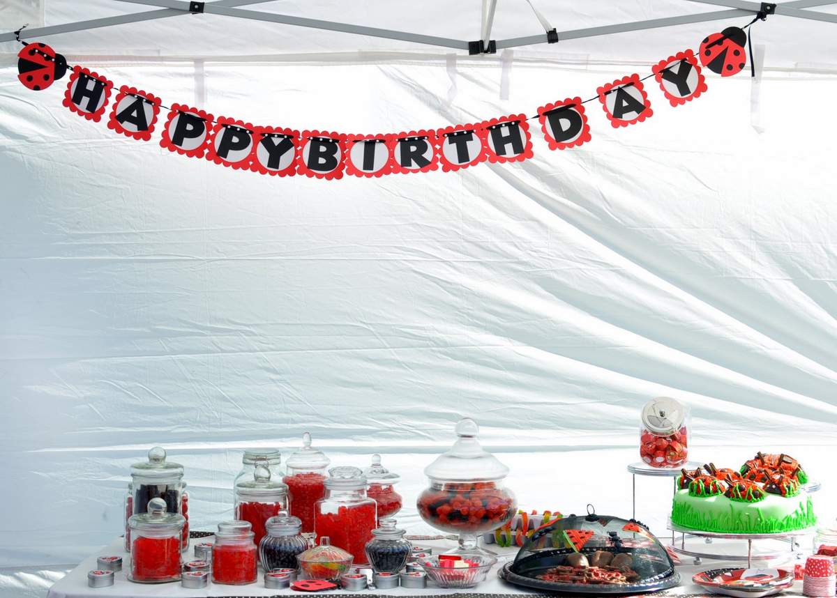 Lily's First Birthday - Ladybug Polka Dot