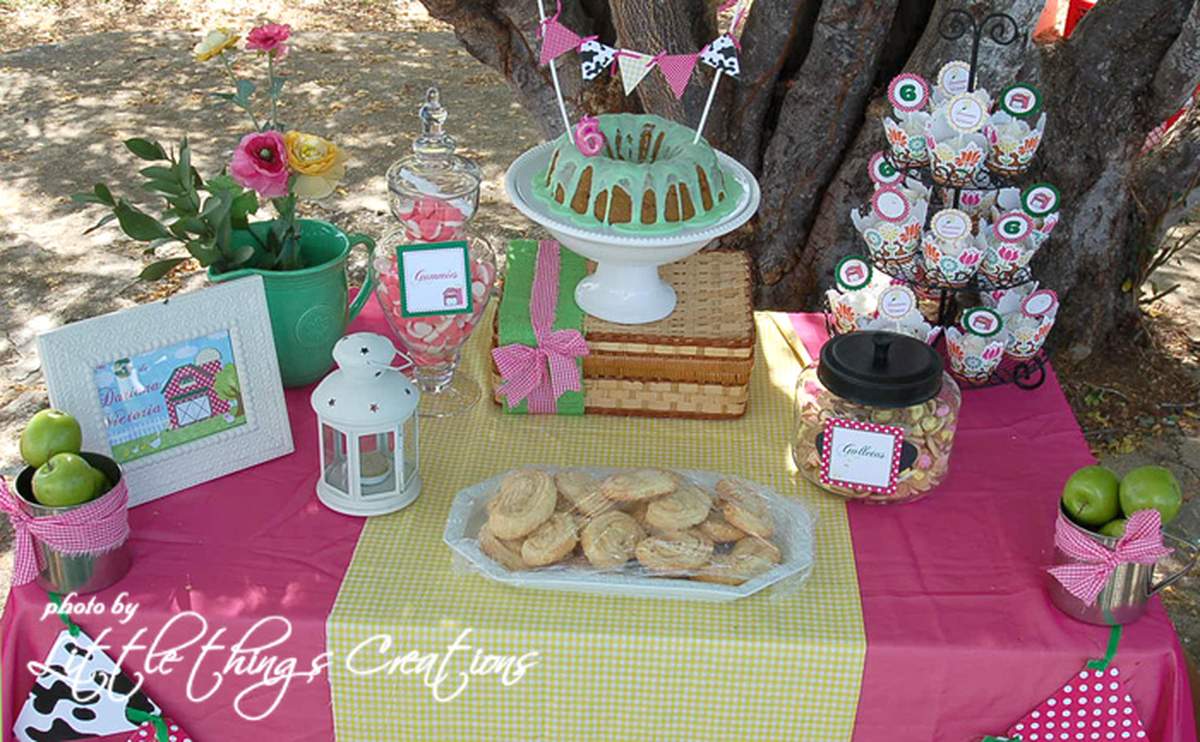 Girly Farmer Birthday Party - Farm Theme