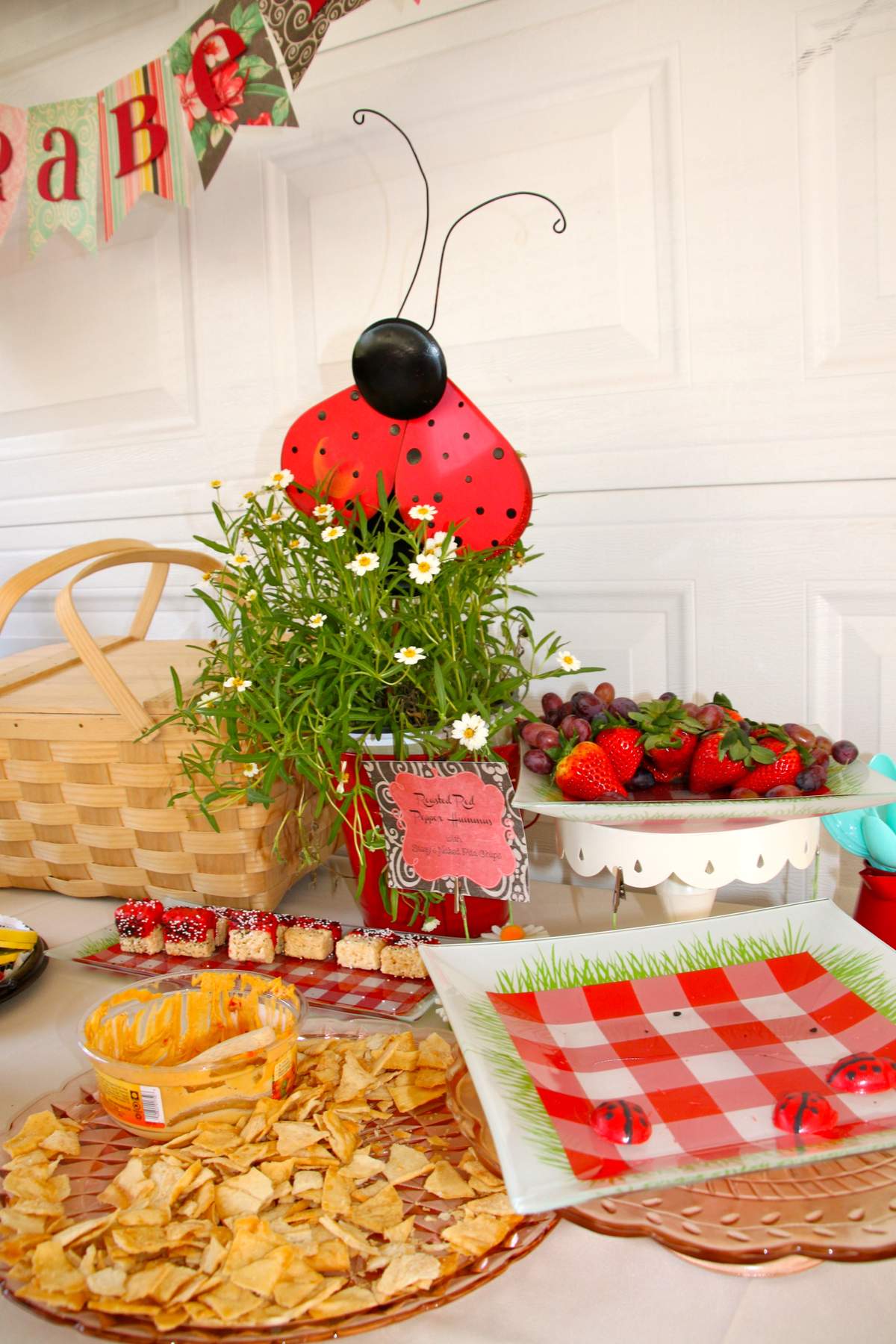 Ladybug Picnic Birthday Party Ideas Photo 29 of 31 Catch My Party