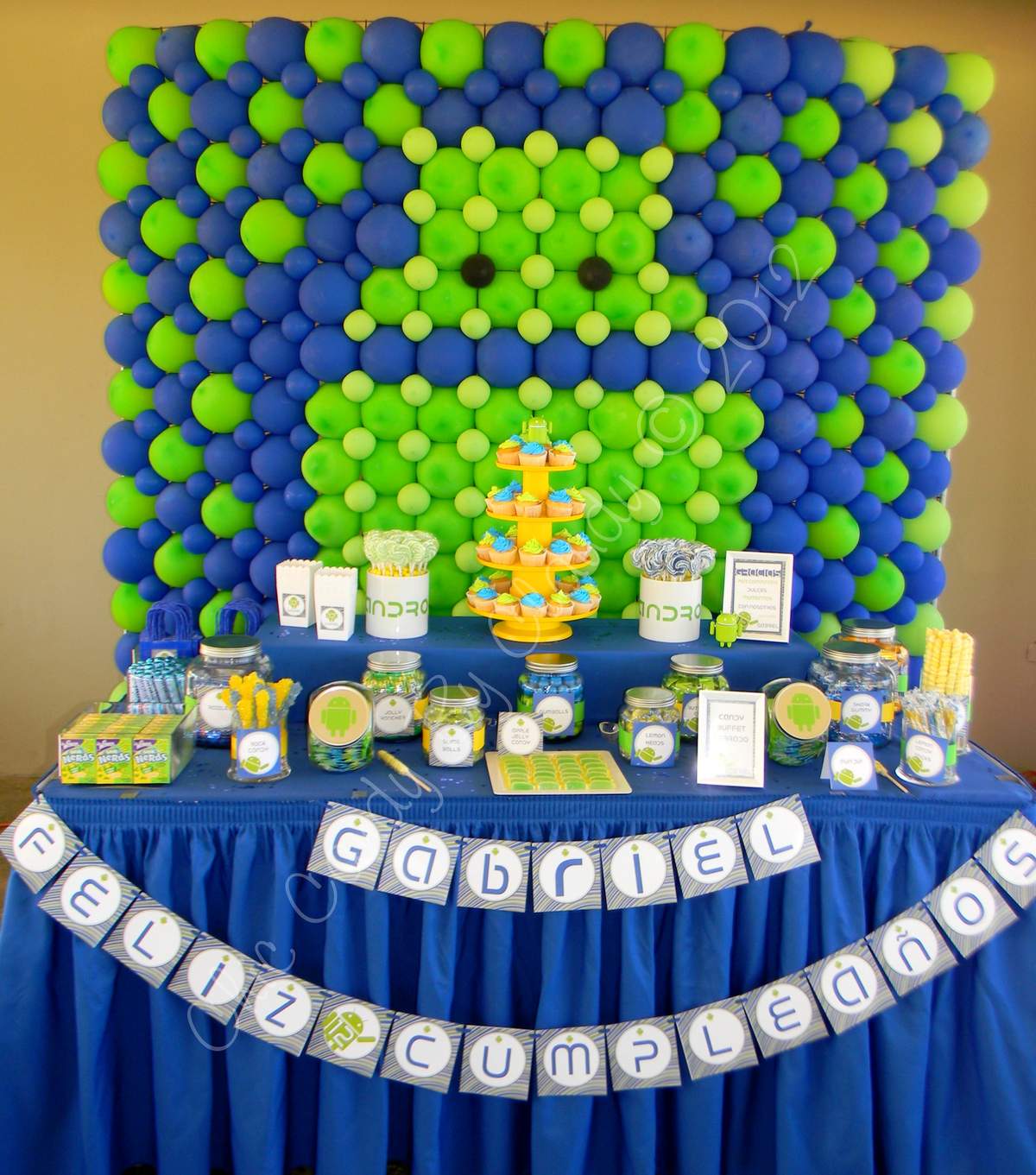 Gabriel's 12 Birthday Party - Android Birthday