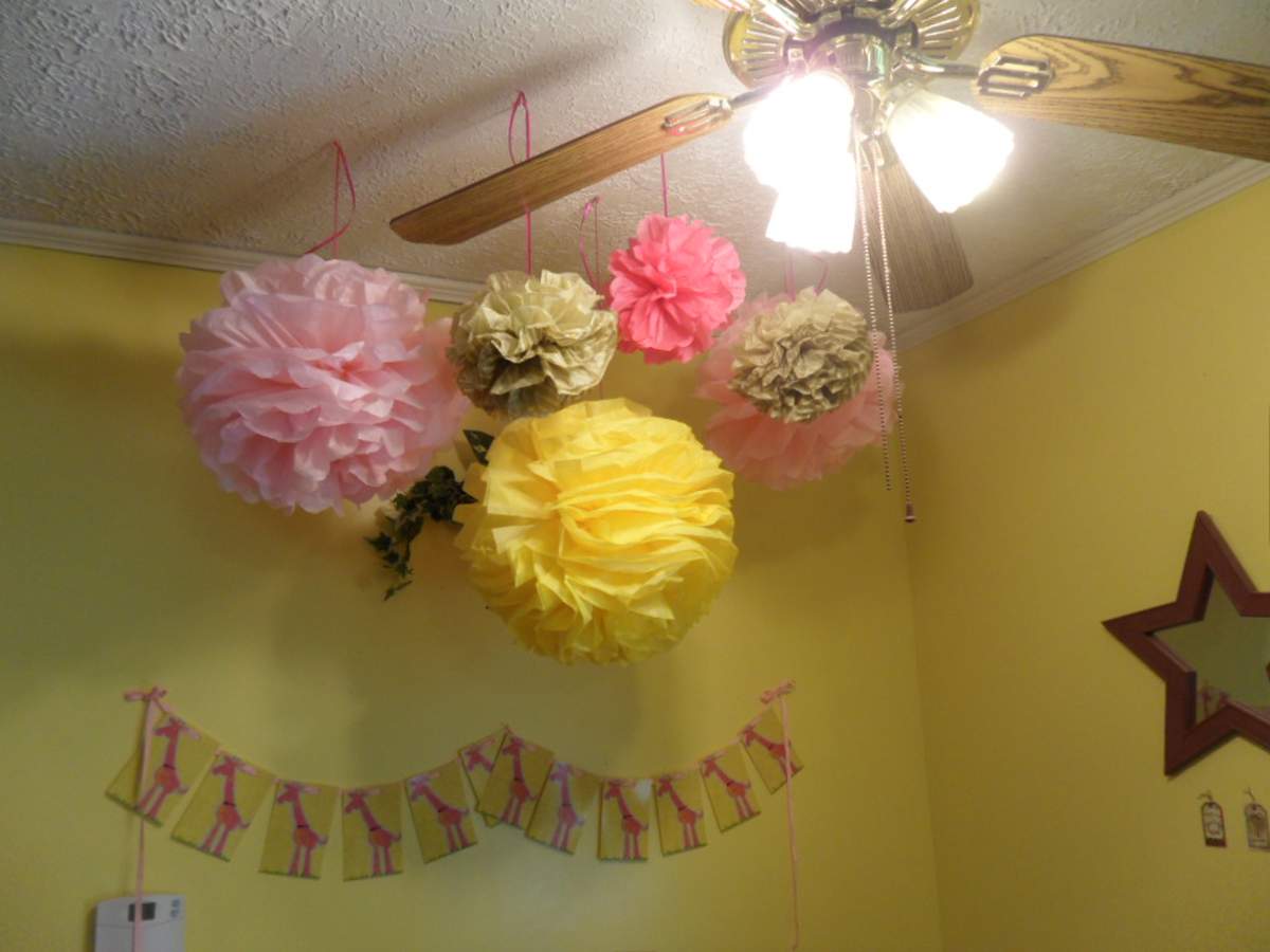Madisyn's 12th birthday party - Giraffes, pink and yellow
