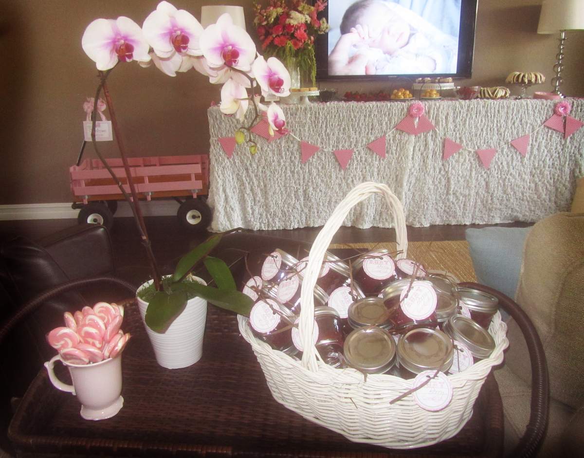 Pink and more pink Sip & See Open House Baby Shower Party Ideas Photo