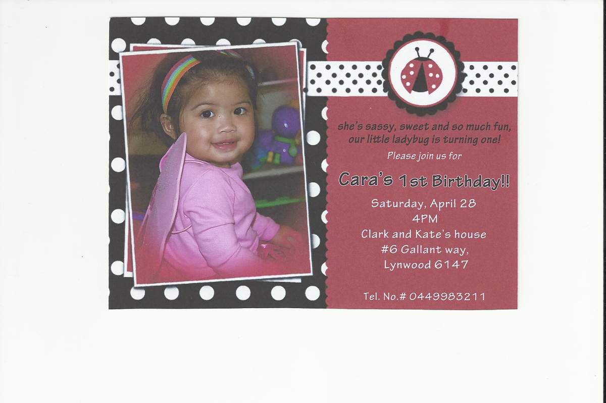 Cara's 1st Birthday - Ladybug 1st birthday