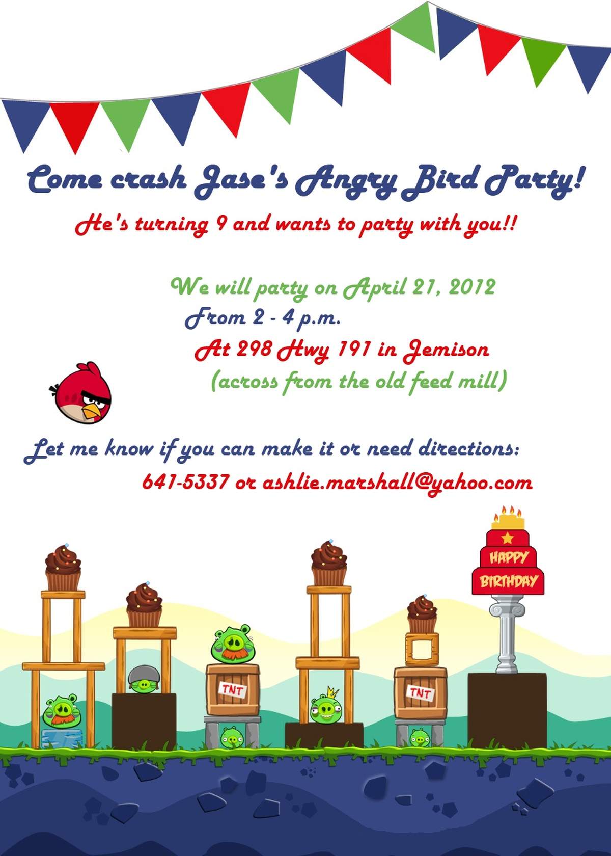Angry Bird 9th Birthday - Angry Birds