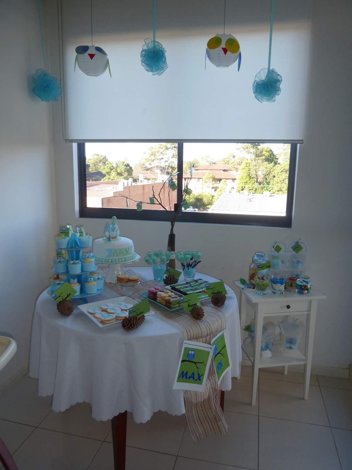 1st Birthday Party - Owl