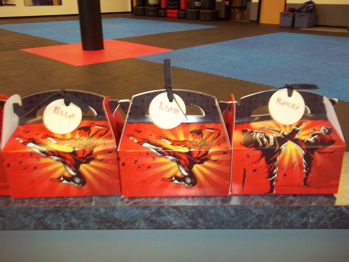 Taekwondo/Karate/Martial Arts Birthday Party Ideas Photo 1 of 19