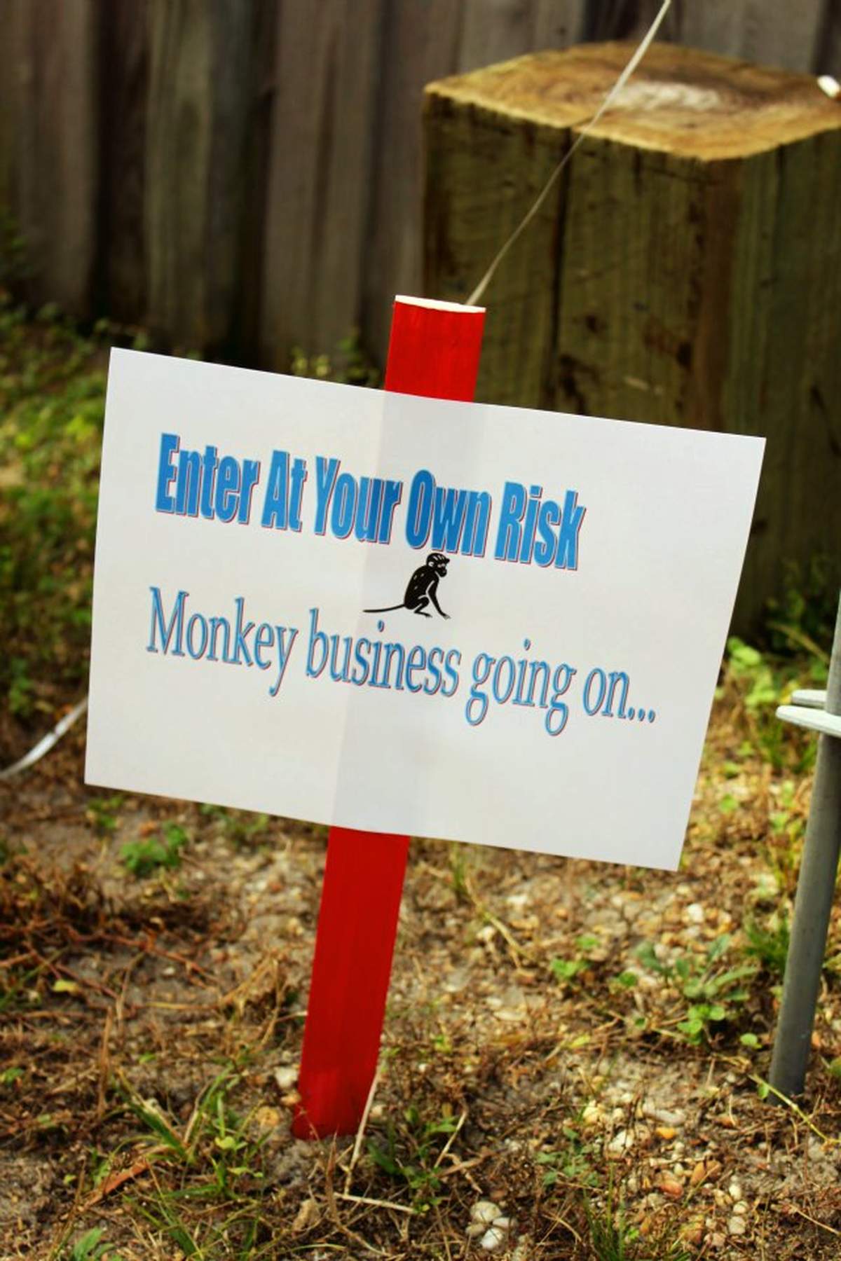 Our little monkey is turning ONE - Sock Monkey