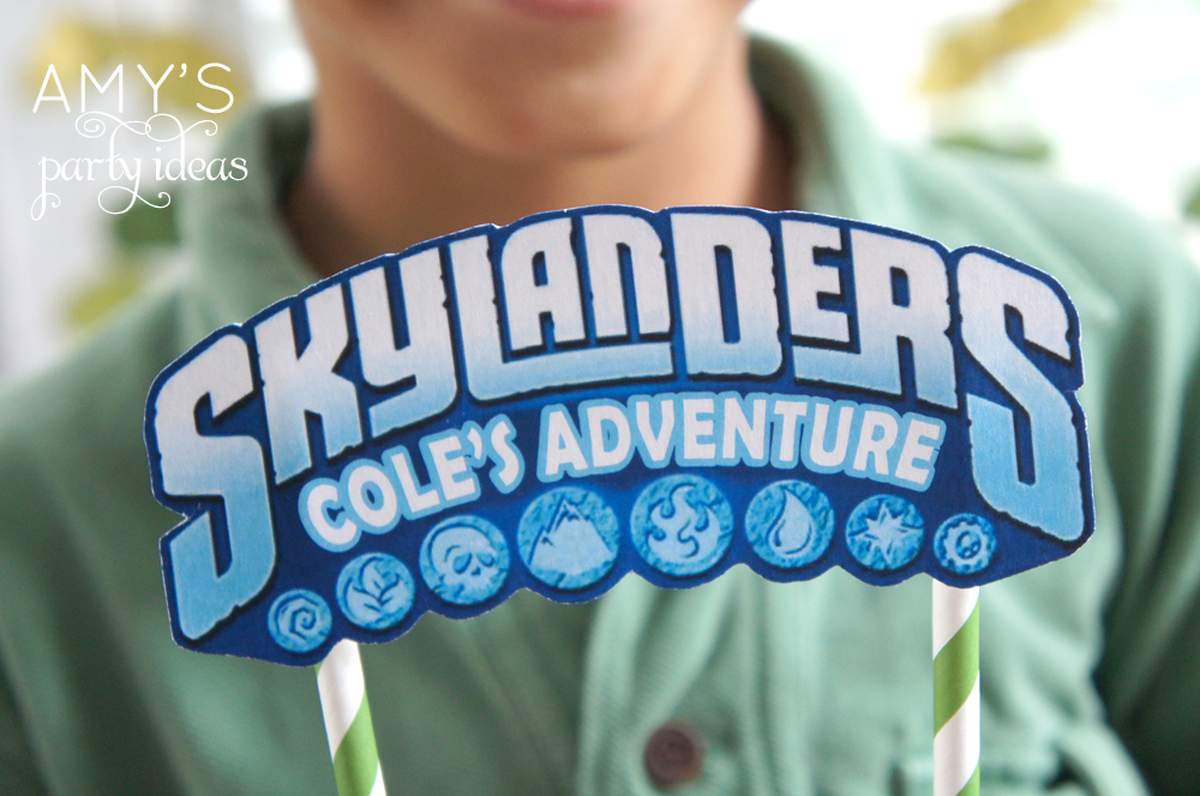 Skylanders Birthday Party Adventure - Video Game