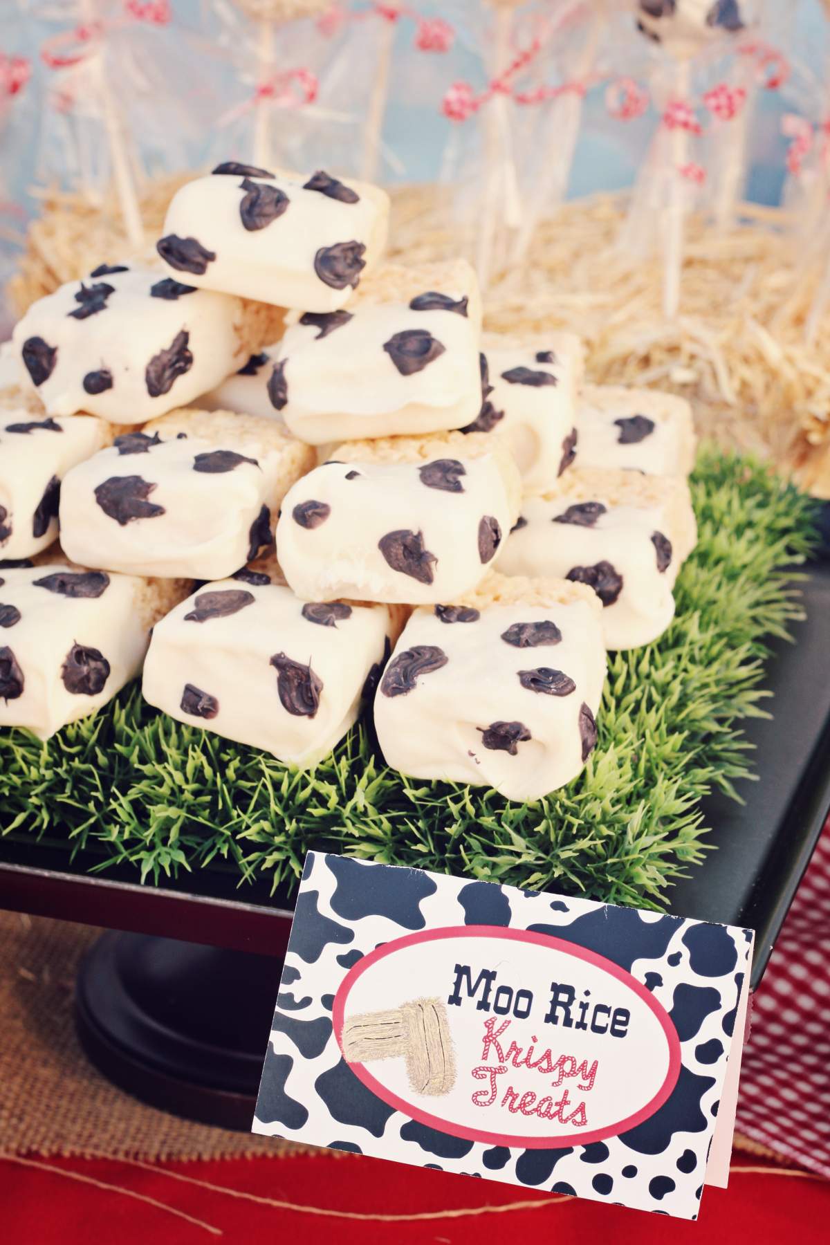 Lucas' First Birthday - Barnyard, Farm