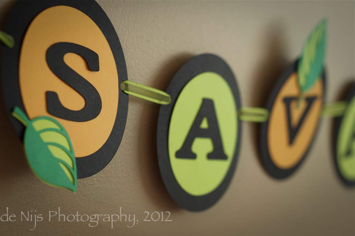 "Wild Kingdom Party" - Jungle Safari