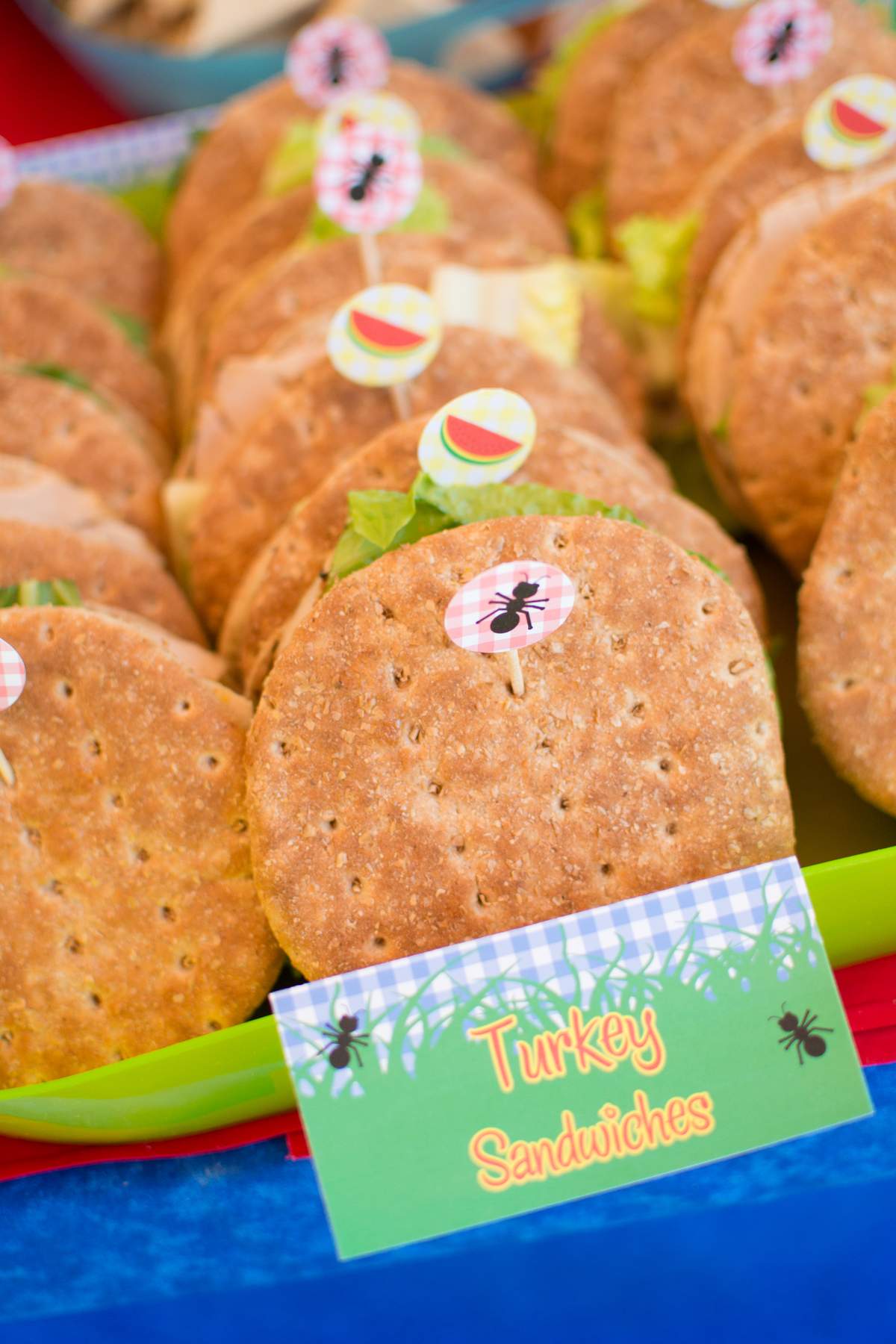 Picnic Birthday Party Ideas Photo 1 of 57 Catch My Party