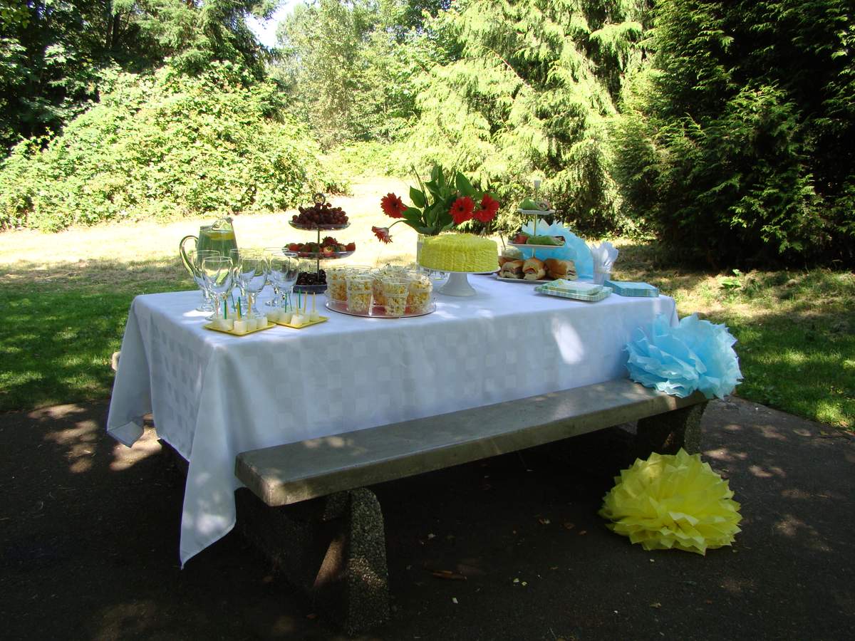 My birthday Party! - Picnic