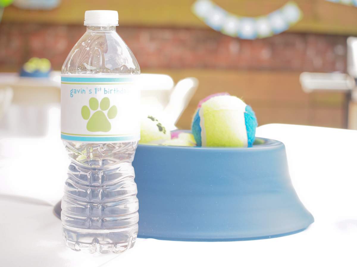 Gavin's 1st Birthday Paw-ty - Doggies