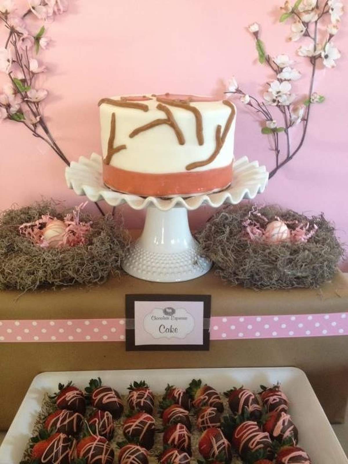 Jennie's Baby Shower - Birds / Nest