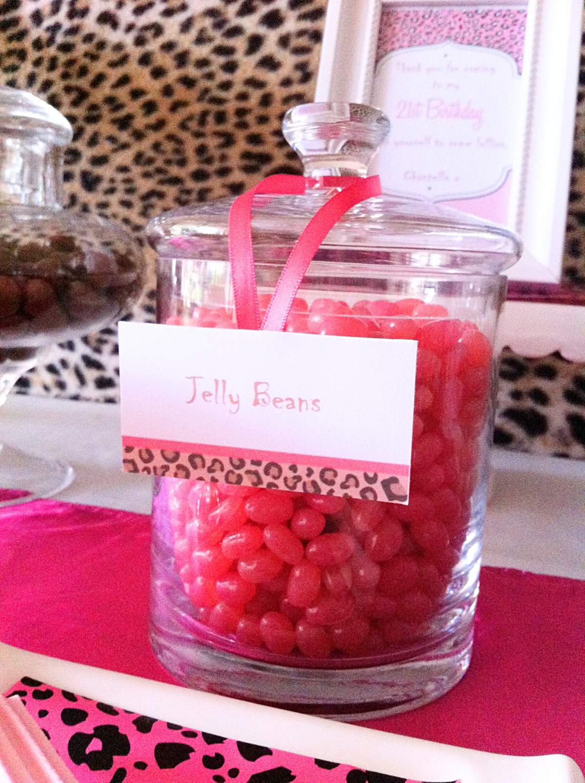brown-pink-cheetah-print-birthday-party-ideas-photo-1-of-17-catch