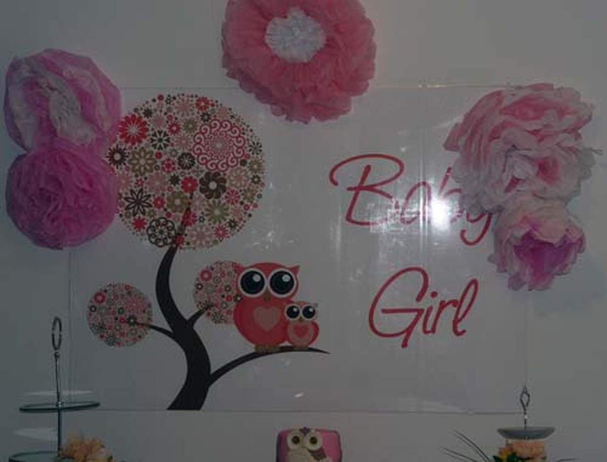 Baby shower for a girl - Owl themed