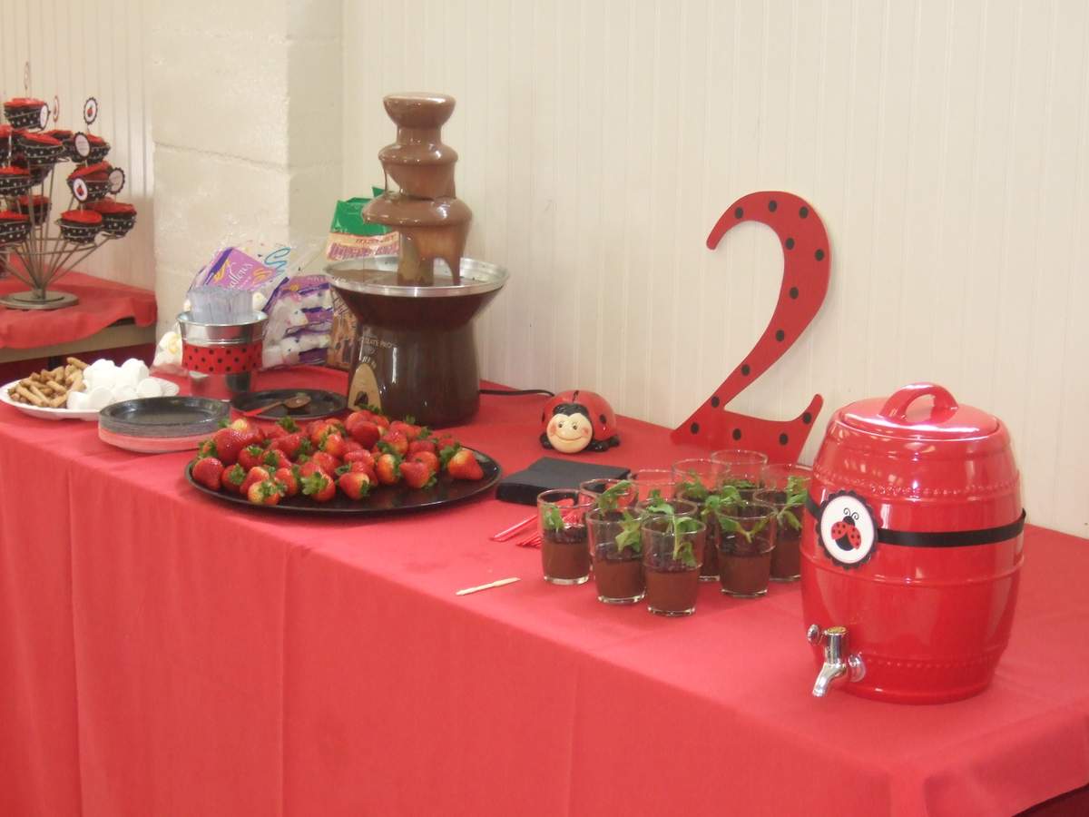 Samantha's 2nd Birthday! - Ladybug party