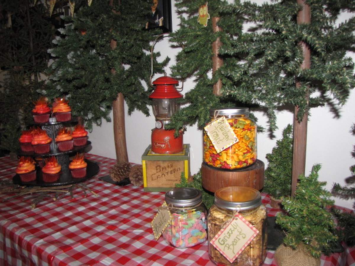 Indoor Campout Birthday Party Ideas Photo 1 Of 21 Catch My Party