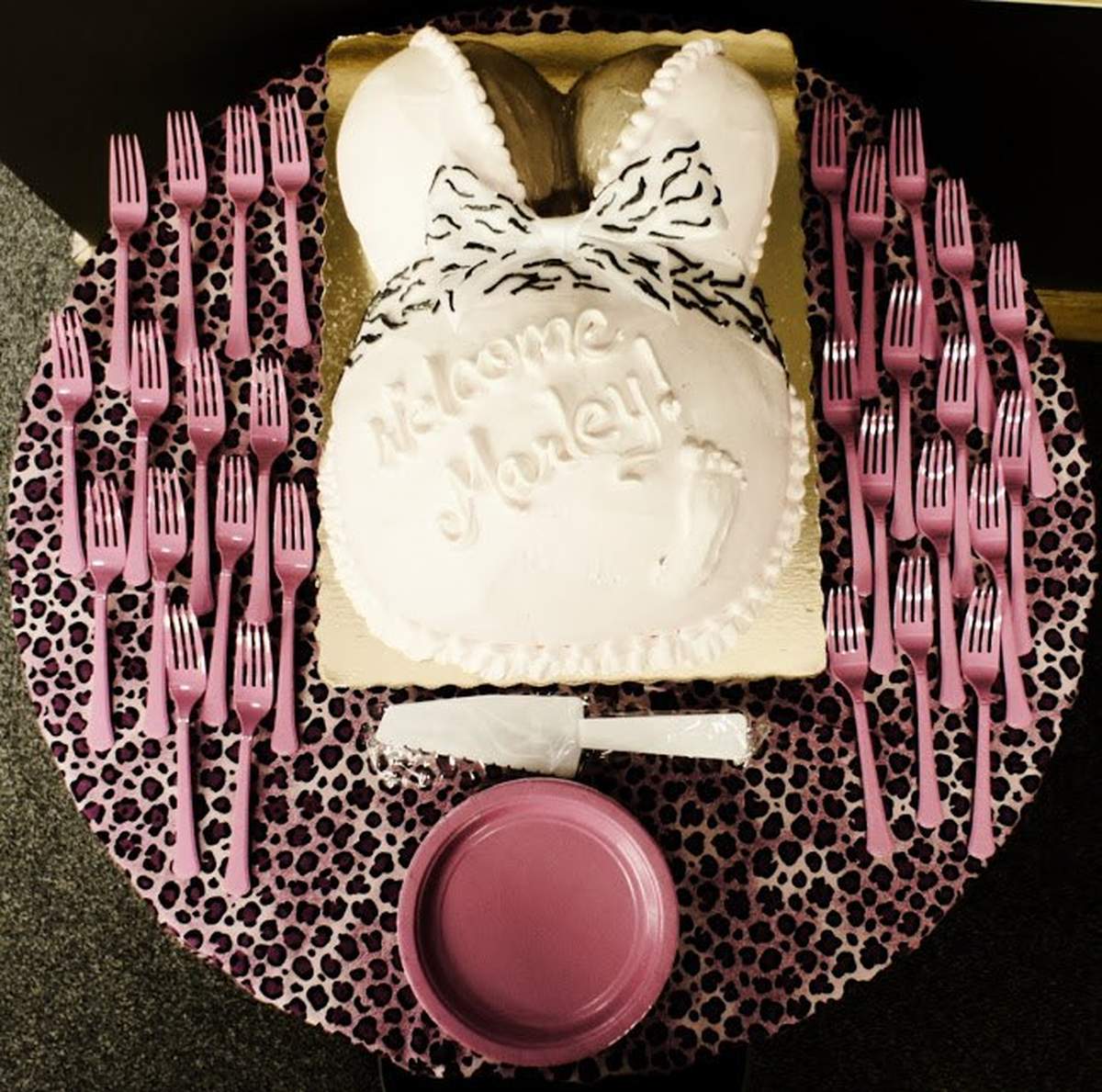 Pink Safari Theme Baby Shower Party Ideas | Photo 3 of 7 | Catch My Party