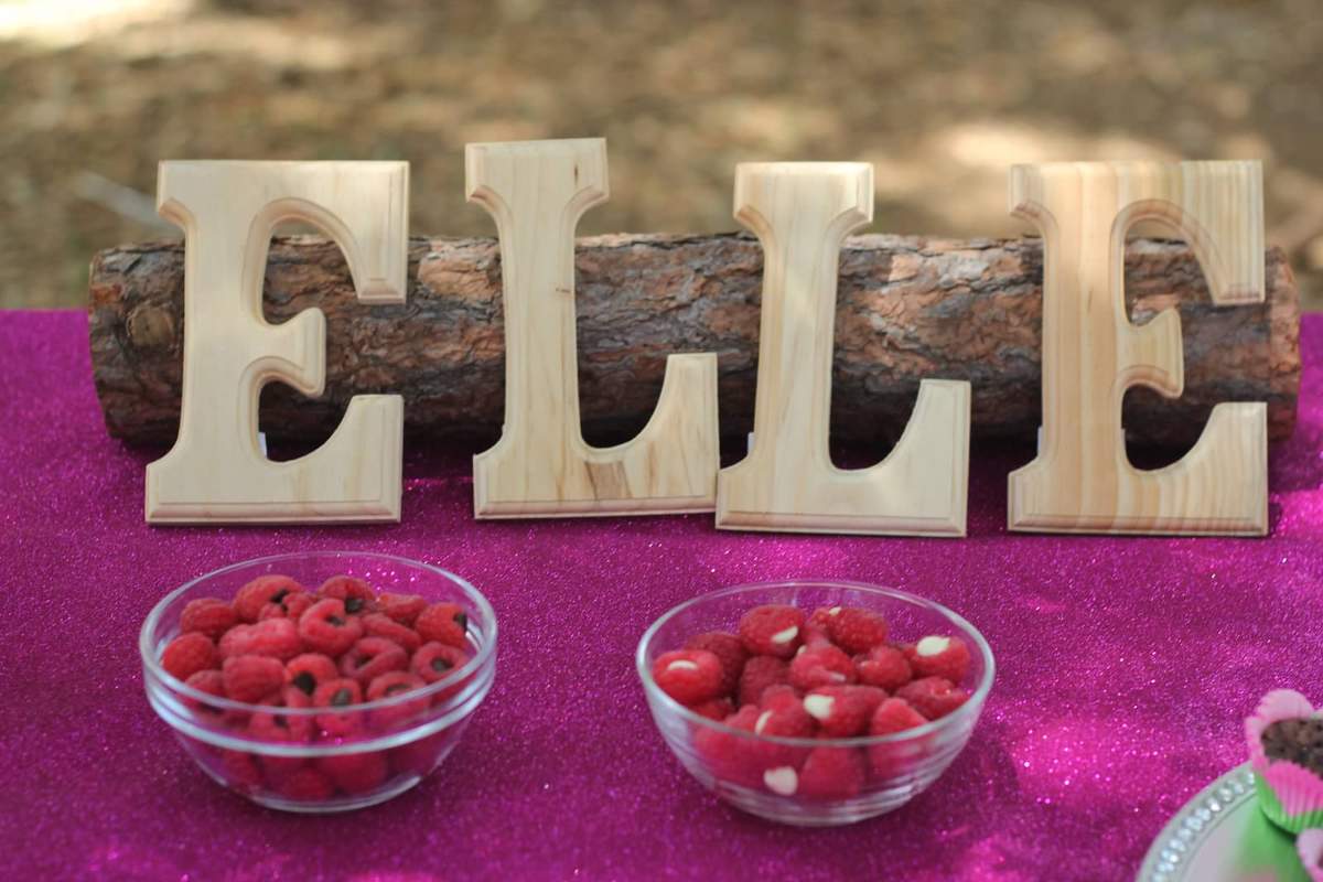Elle's Enchanted Birthday - woodland fairy