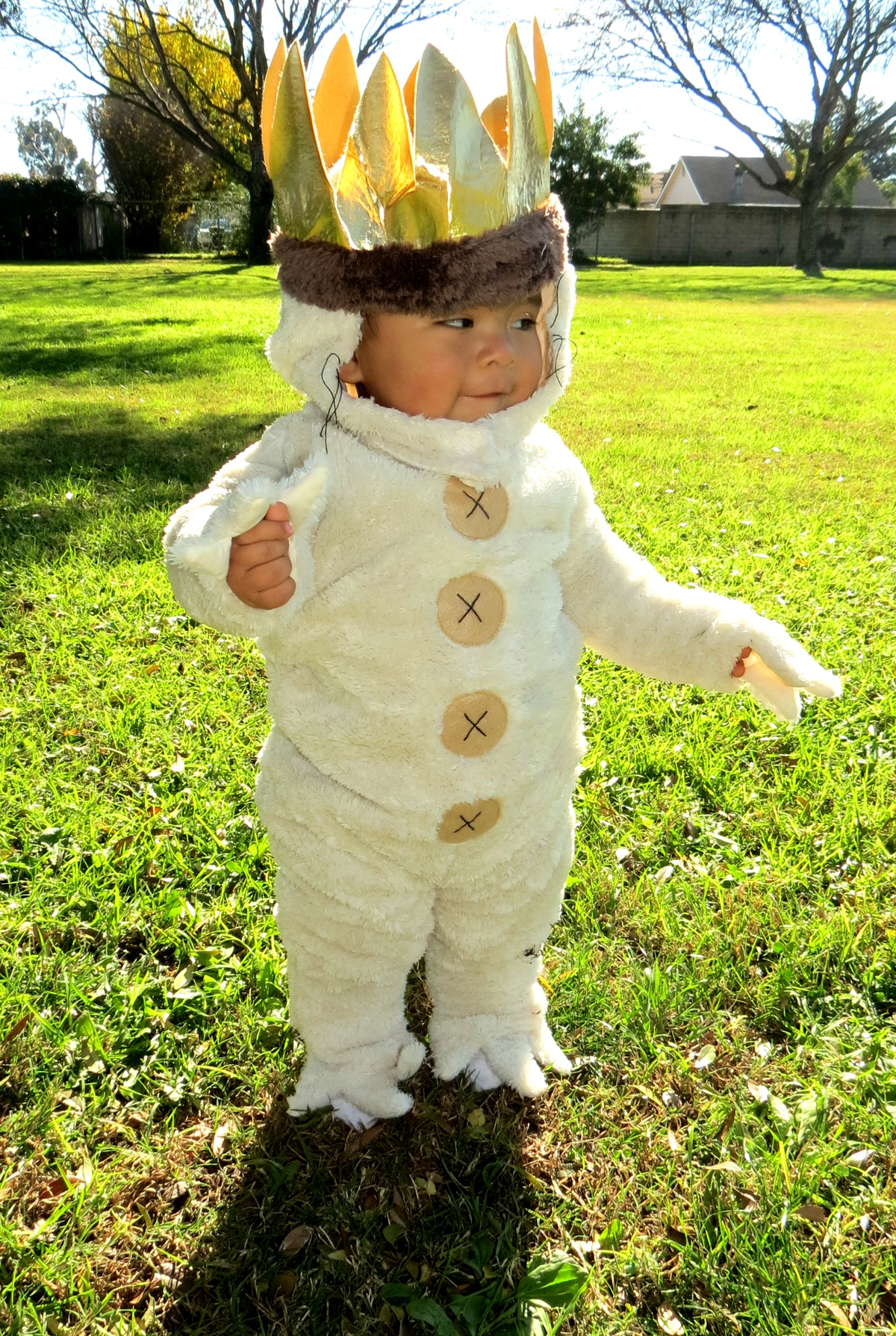 Where The Wild Things Are Birthday Party Ideas Photo 1 Of 18