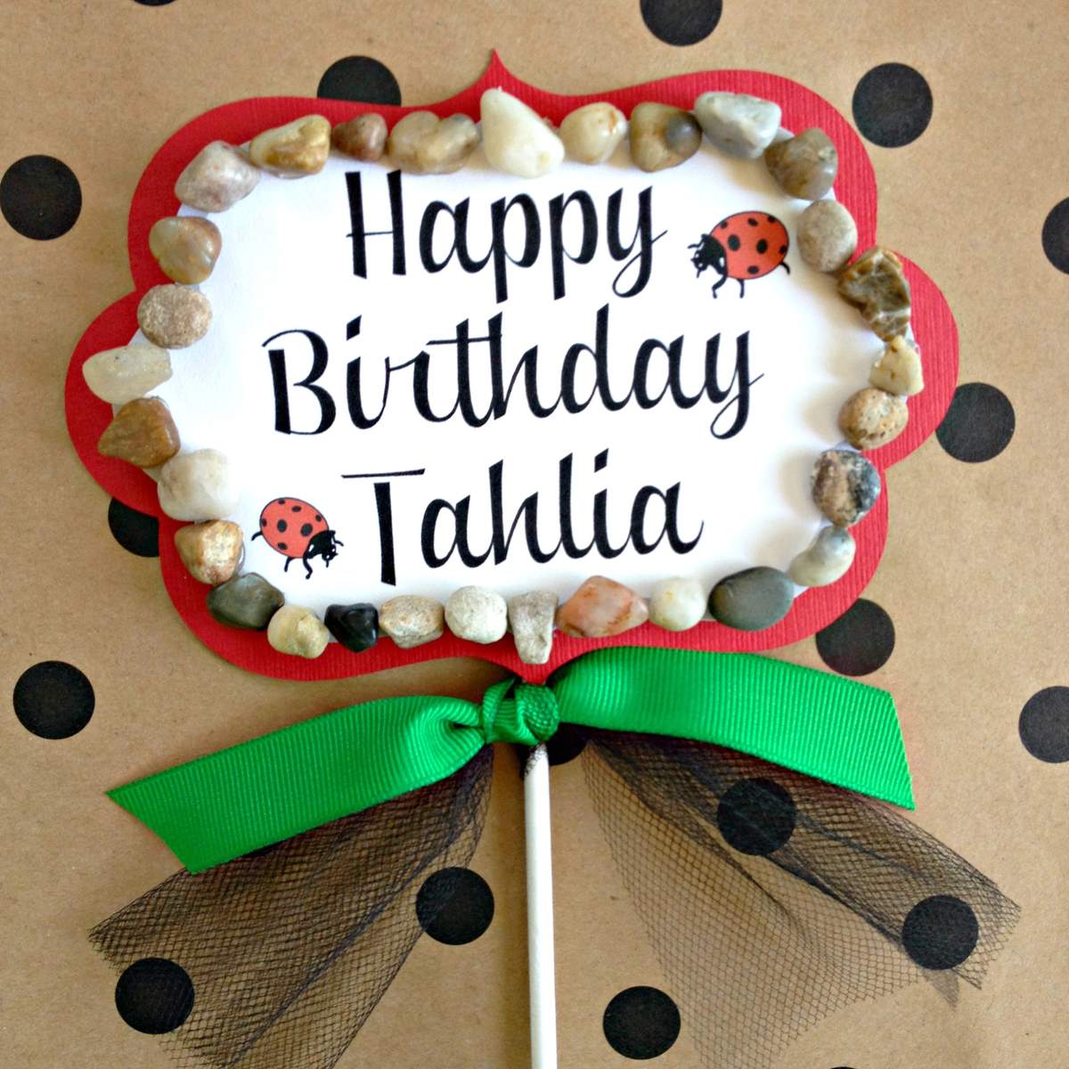 Rocks and Lady Bugs Birthday Party Ideas | Photo 7 of 20 | Catch My Party