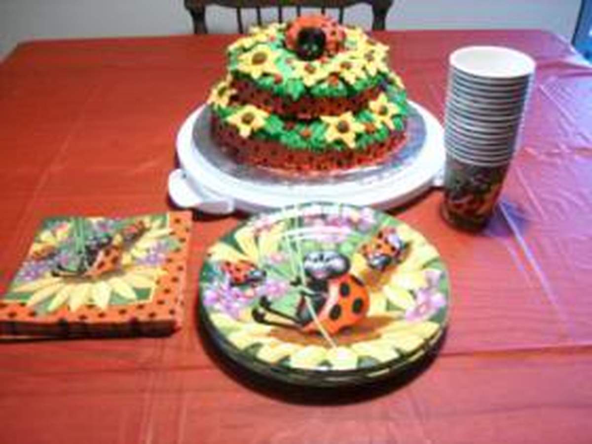 Savannah's 1st Birthday! - Lady Bug Birthday