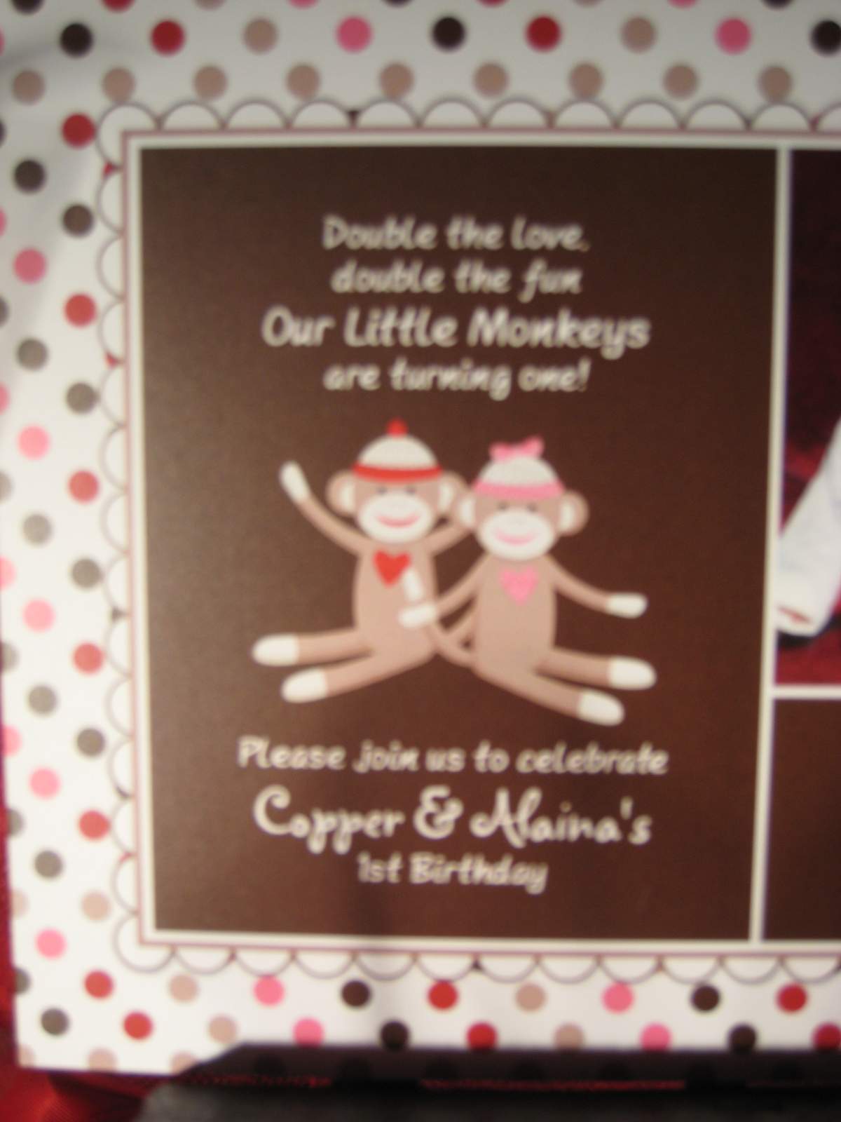 Twin's First Birthday - Twin Sock Monkey Party