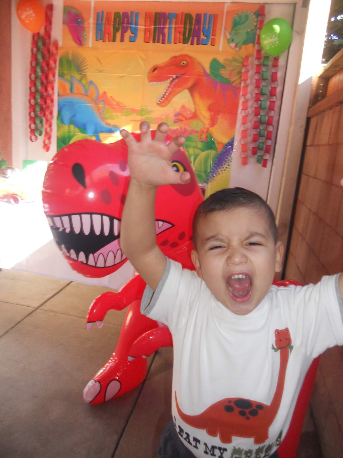 Roarrrrr Matthew is turning 4! - Dinosaurs