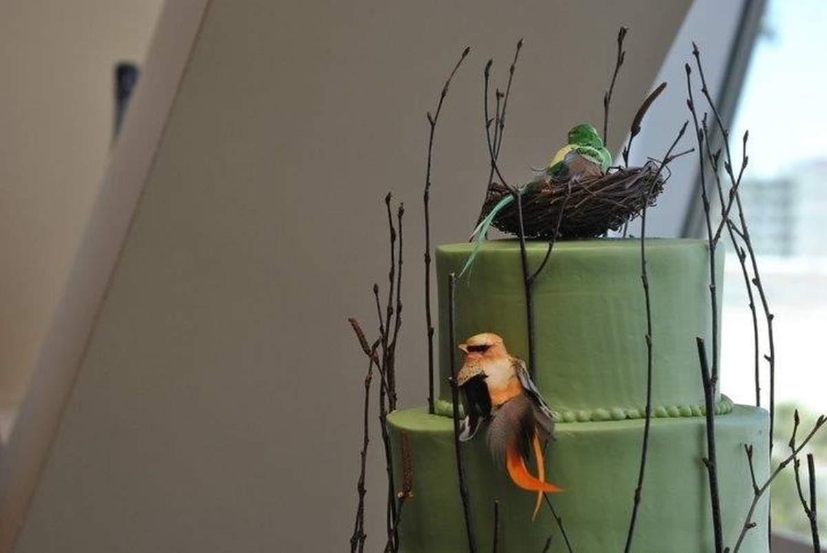 Rooted in Love Baptism - Woodland Forest, Birds, Green, Baptism, Environment
