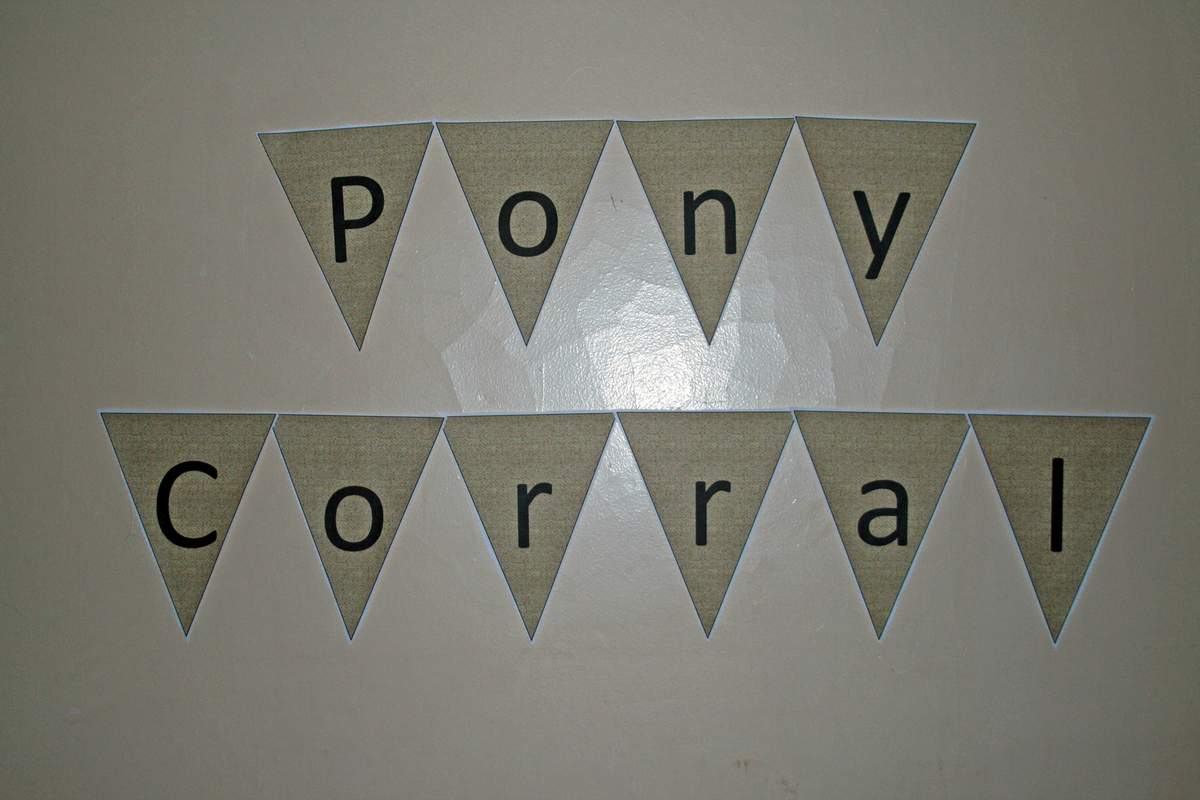Brylynne's 3rd Birthday - western theme