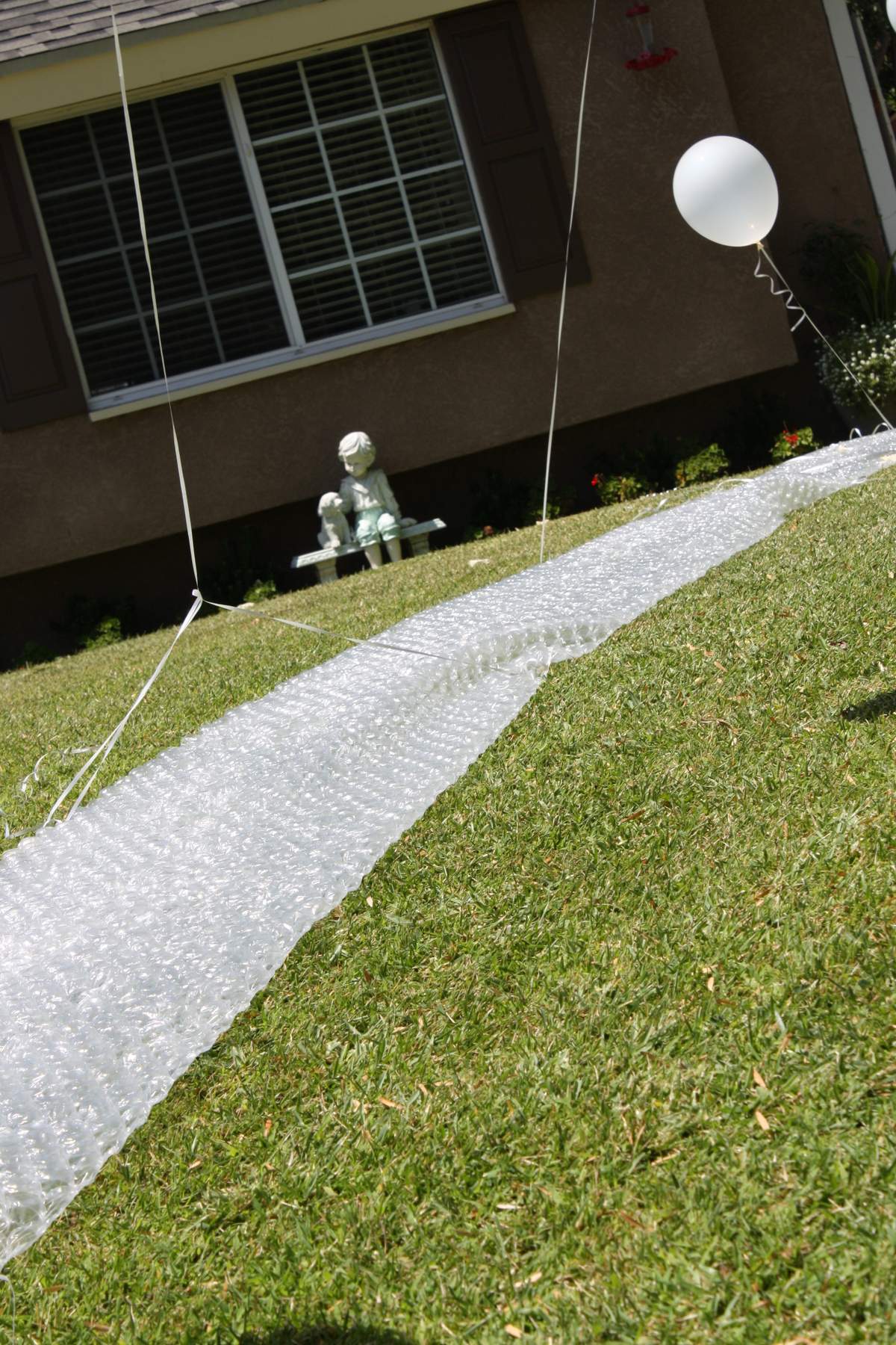 Gracie's bubble party  - None