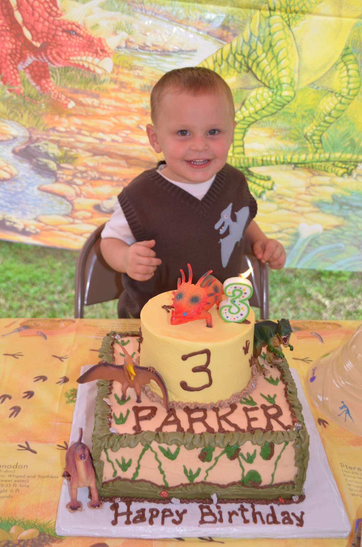 Parker's 3rd Dino Party! - Dinosaurs