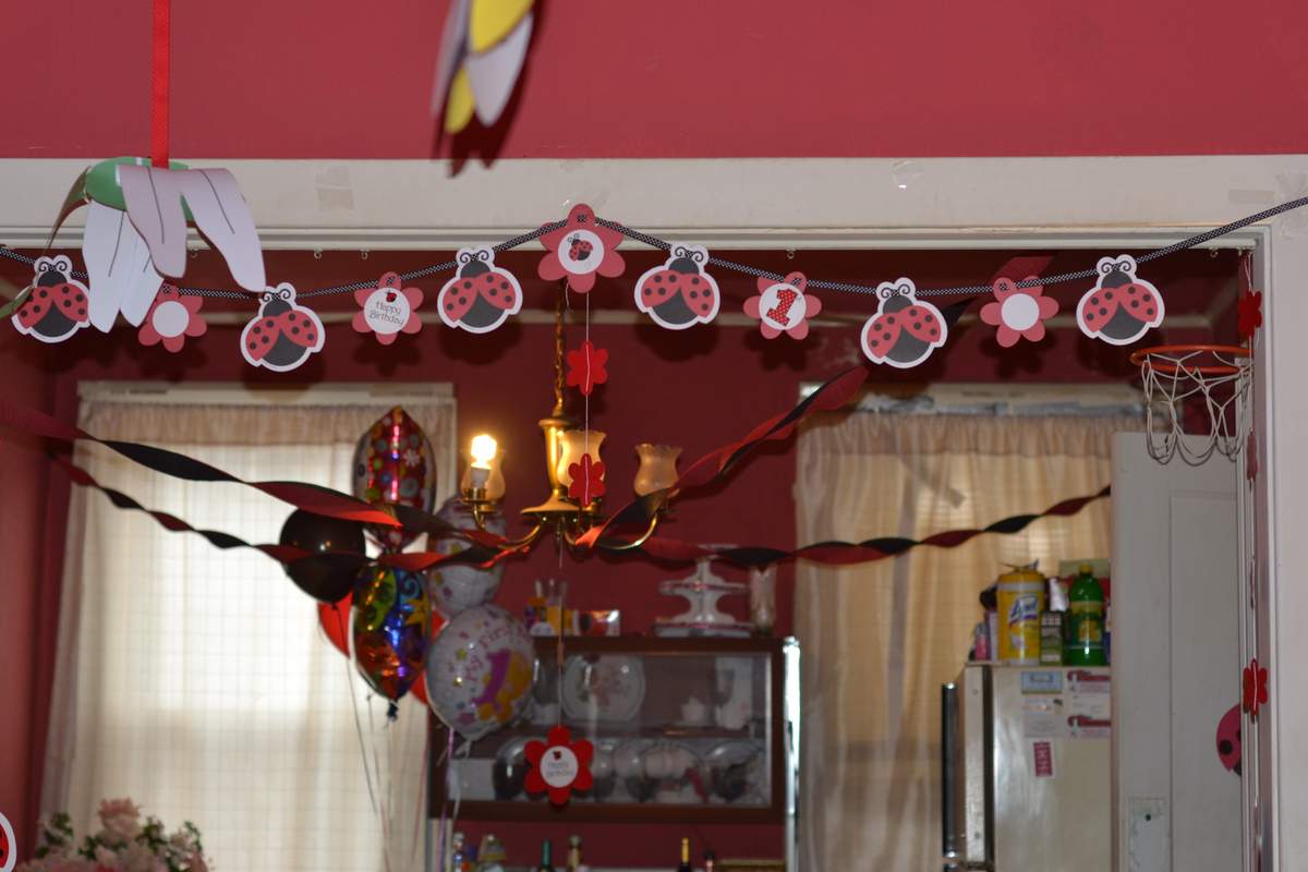 Aleah's 1st Birthday  - Ladybugs