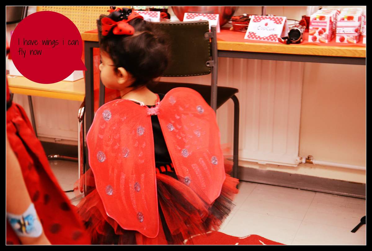 The Bug Day  - Lady Bug Birthday