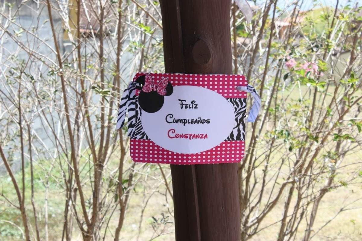 First Year Constanza - zebra minnie mouse