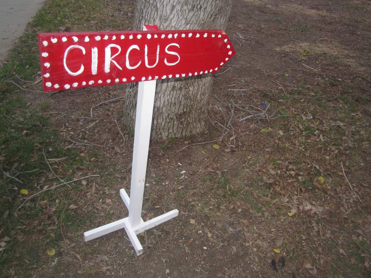 Belle's Big Top is in town - Carnival/Circus