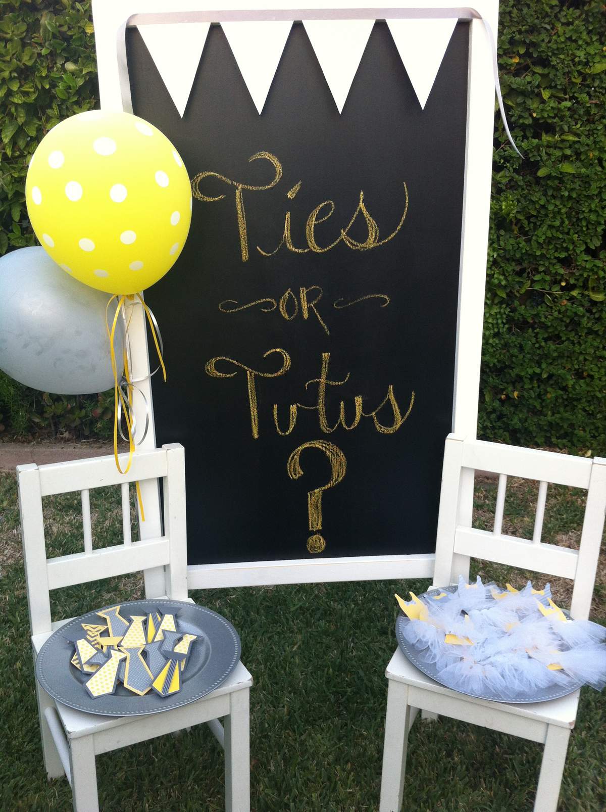 Yellow & Grey Gender Reveal Party Ideas Photo 7 of 34 Catch My Party