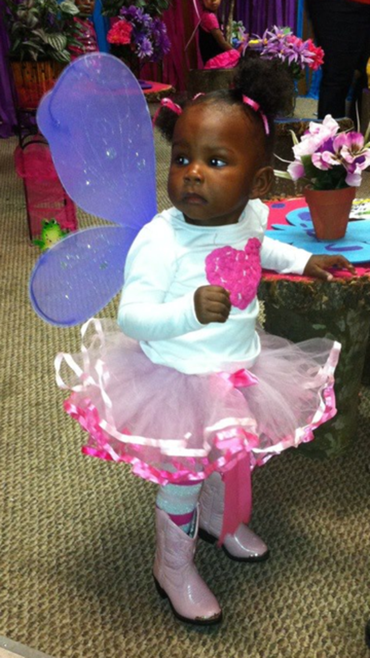 Sanai's Fairy Garden - Fairy Party