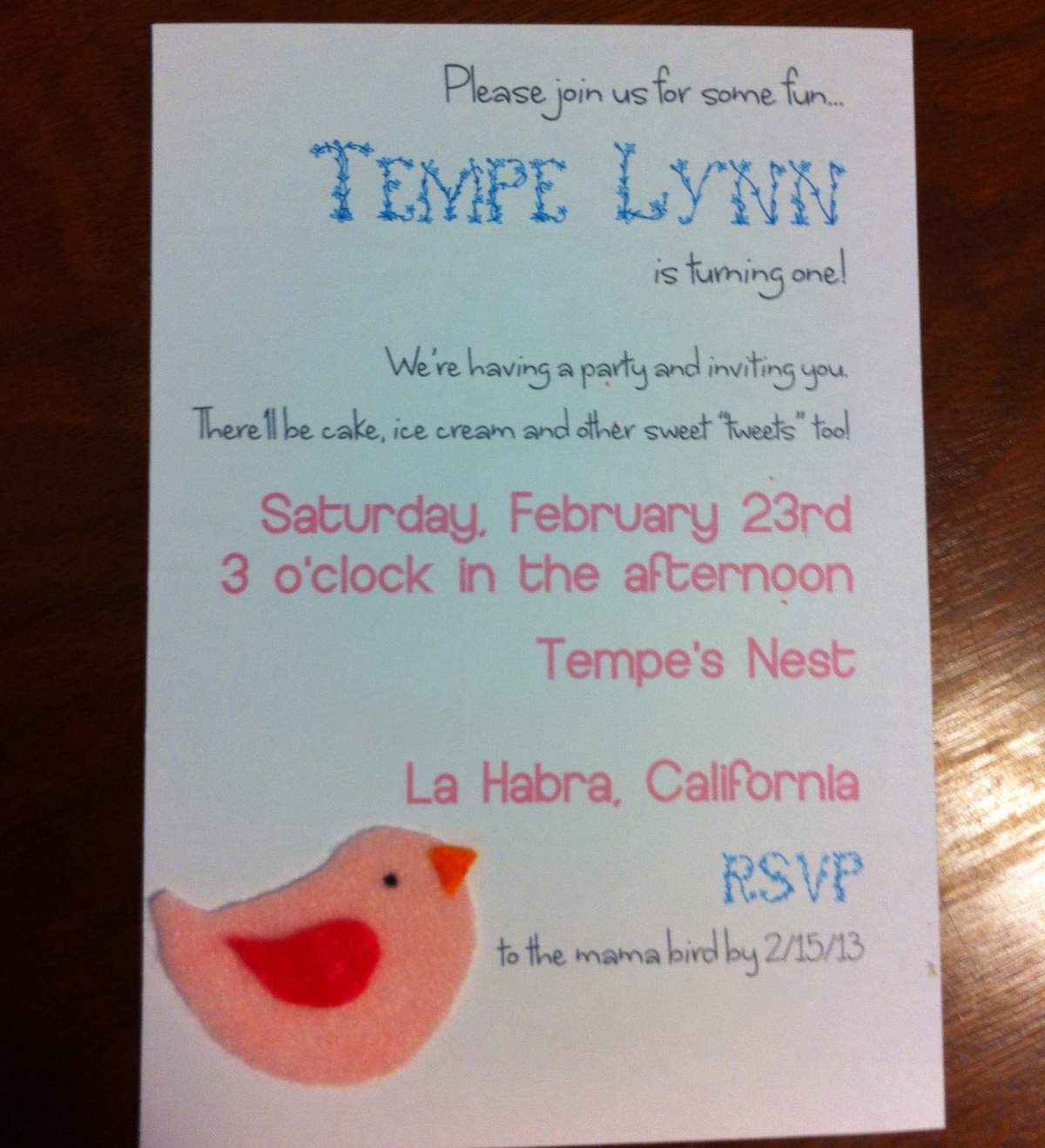 Tempe's 1st Birthday - Birdie Birthday Party with Sweet Tweets
