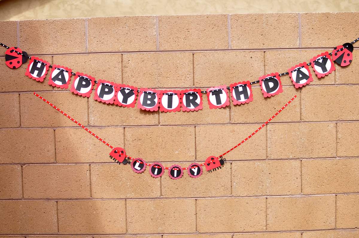 Lily's 2nd Birthday - Hello Kitty Ladybug 
