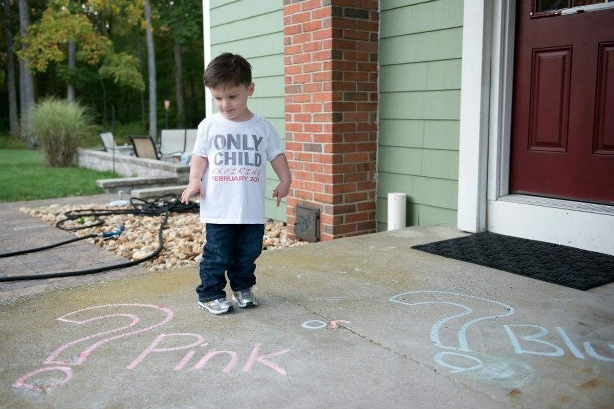 Gender Reveal - None