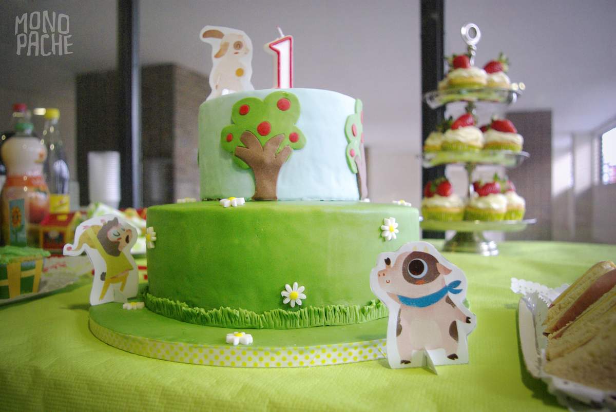 1st Birthday Party - Farm/Barnyard