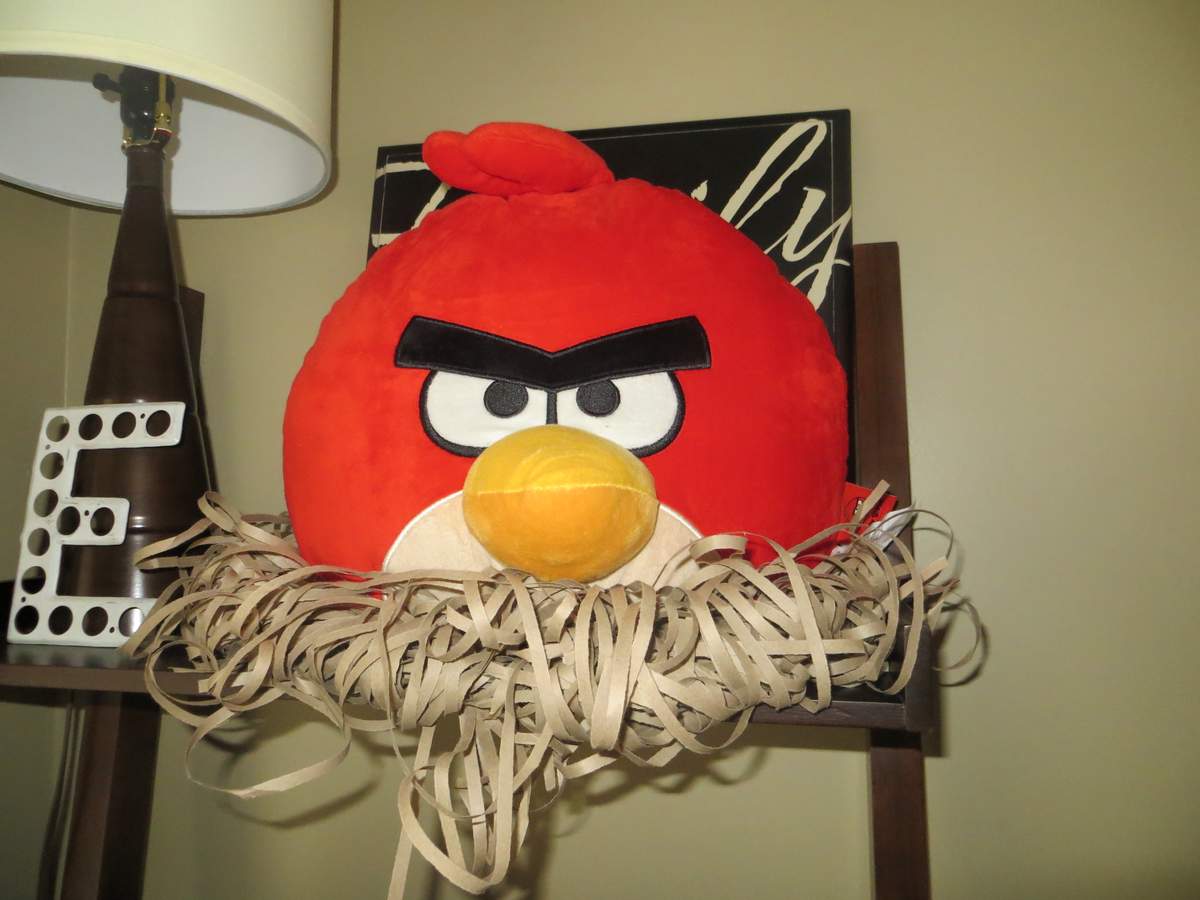 4th and 2nd Birthday Party - Angry Birds