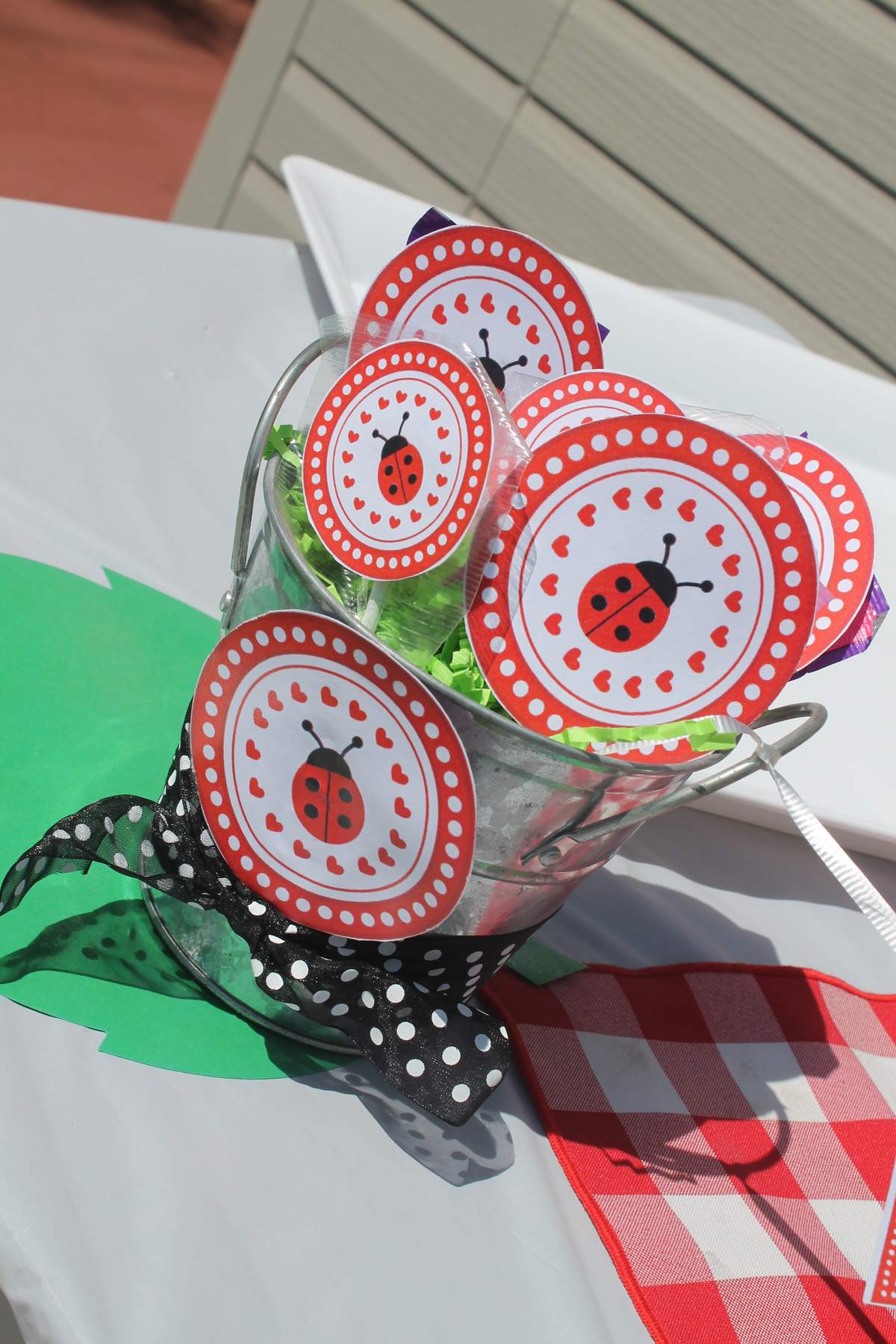 Ladybug / Spring "Ladybug Picnic" Catch My Party