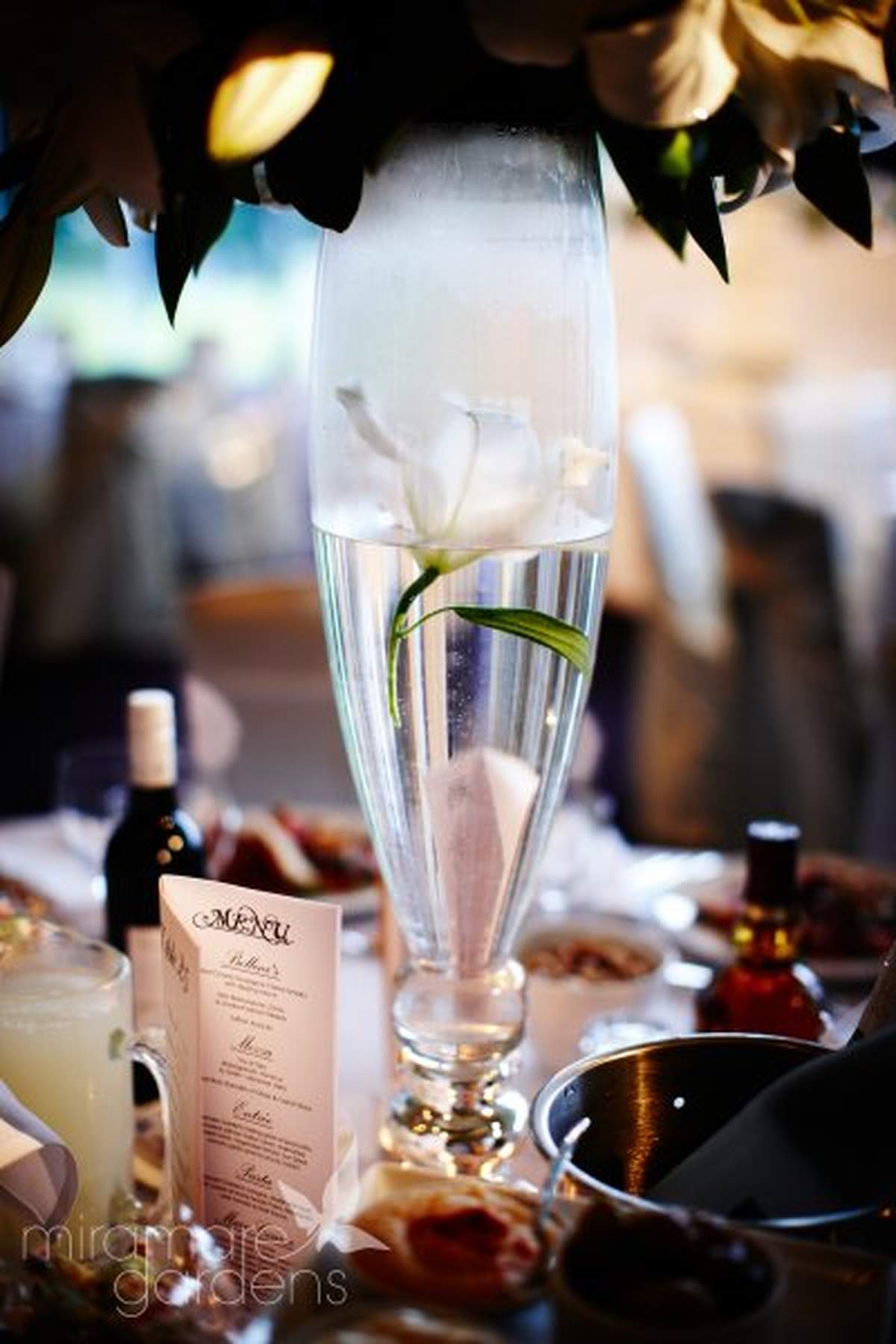 Maria and Peter Wedding - Classic wedding