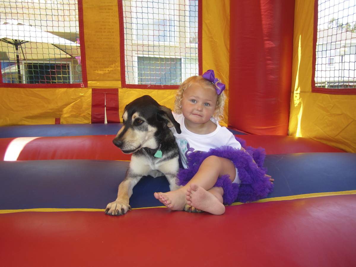 Natalie's Under the Sea Bash - Under the Sea/ Mermaid Party