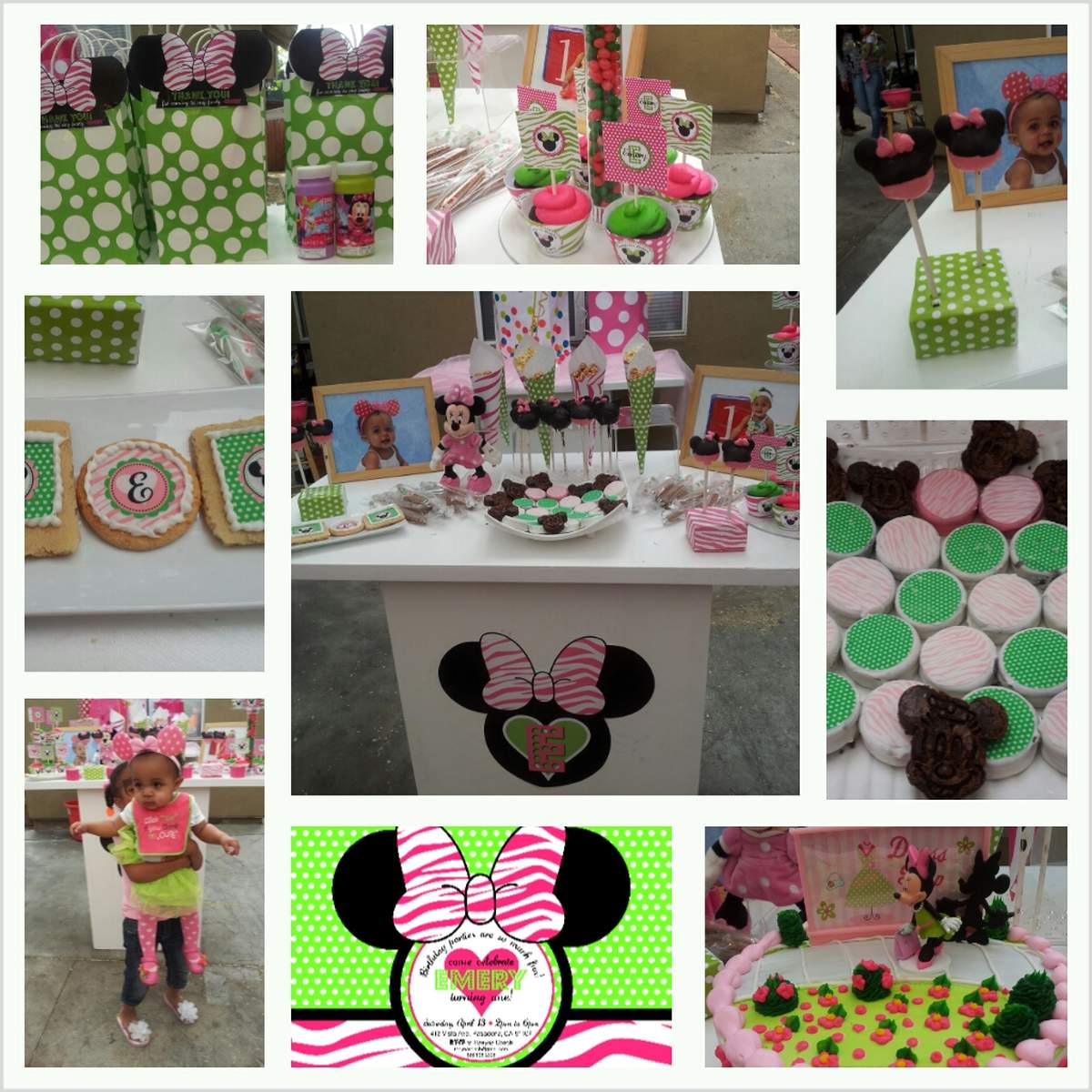 1st Birthday Minnie Mouse - Minnie Mouse and Zebra Print